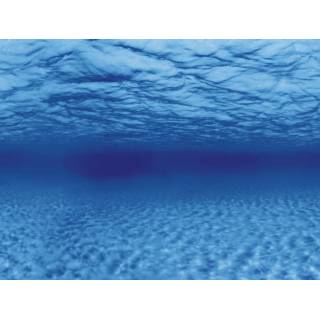 Aqua Nova Tło akwariowe L 100x50cm korzenie/woda